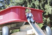 This over-sized red wagon was perfect for Bill and Babybear.