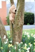 Oh, bother!  I got stuck!