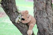 Oh, I am so tired!  Smelling flowers is hard work!