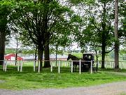 Horse and buggy outside pleasant view old order mennonite church 1