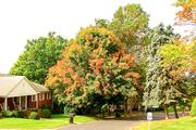 The leaves are changing slowly. Photo by Beverly Silver.